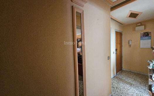 APARTAMENTO CENTRICO