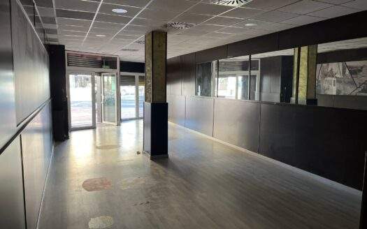 COMMERCIAL PREMISES