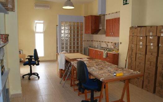 COMMERCIAL PREMISES