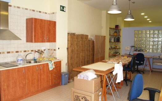 COMMERCIAL PREMISES
