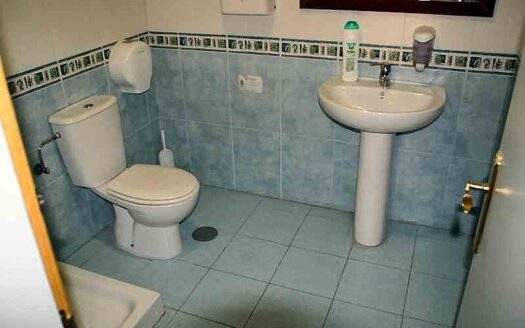 COMMERCIAL PREMISES