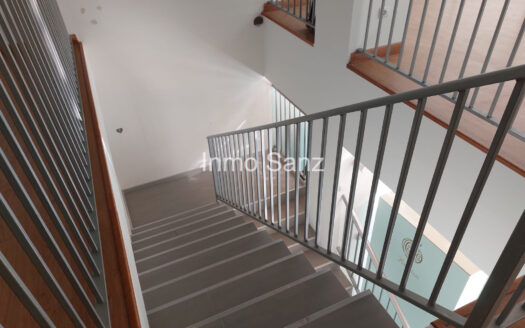 LOCAL EN EL CAMPELLO