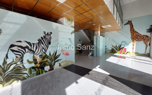 LOCAL EN EL CAMPELLO