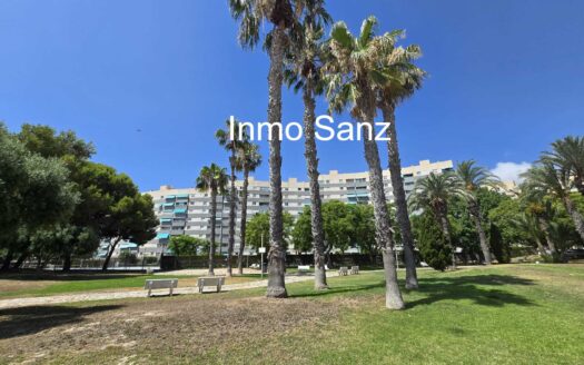 APARTAMENTO EN EL CAMPELLO
